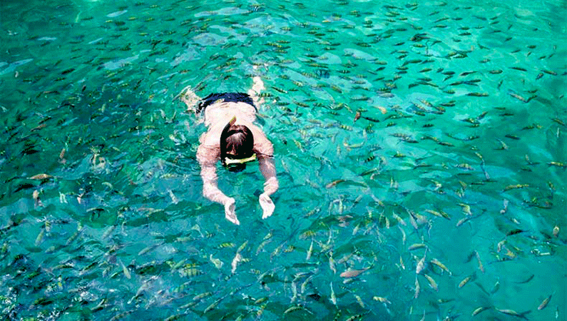 PHI PHI TOUR SNORKELING 